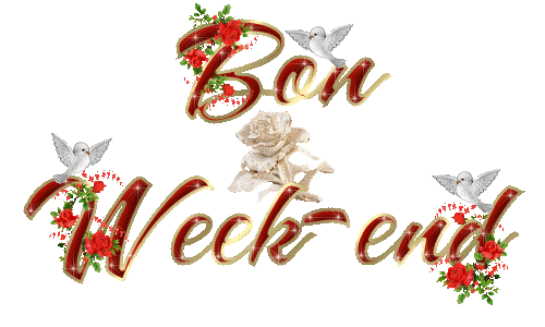 a tous ce qui passe sur mon blog !