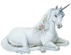 trop belle la licorne !