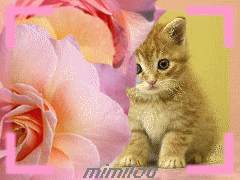 meri maman