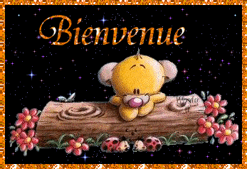 bonjour à vous tous !