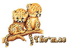 pour mon tomtom